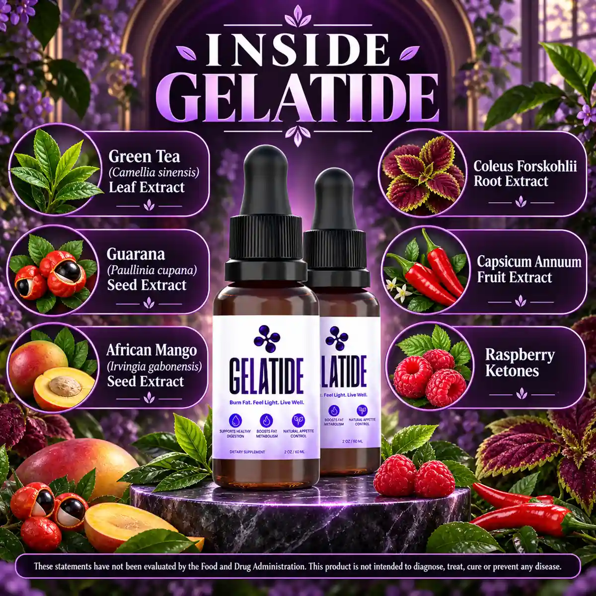 The seller's Inside Gelatide artwork naming six botanical extracts around the bottle